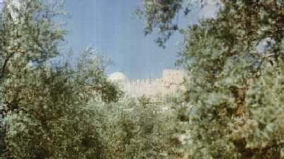 Вид на Храм из Гефсиманского сада